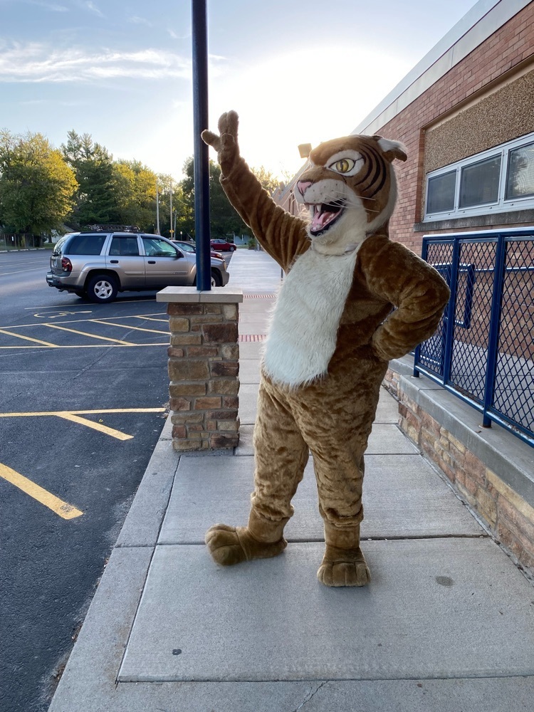 go Wildcats!