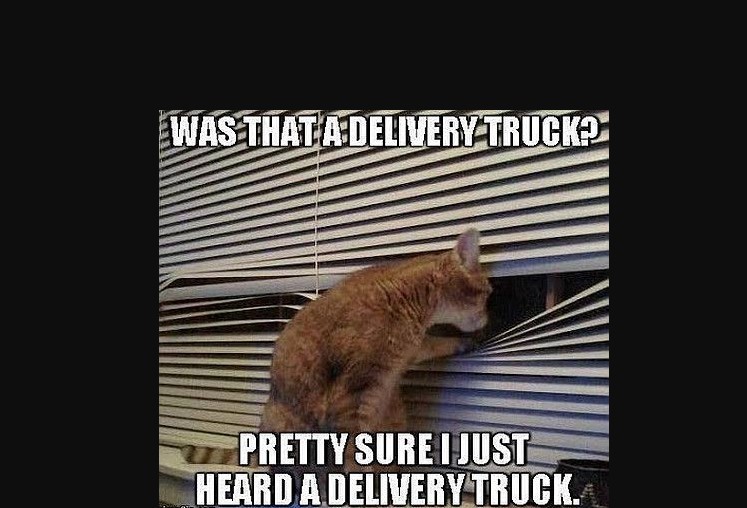 Waiting on Deliveries